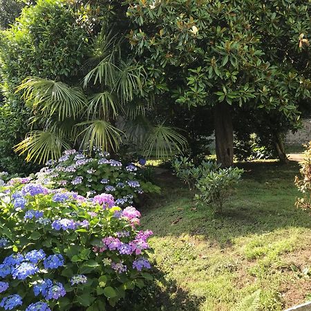 Appartamento La Camelia Ameno Exterior photo
