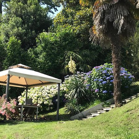 Appartamento La Camelia Ameno Exterior photo