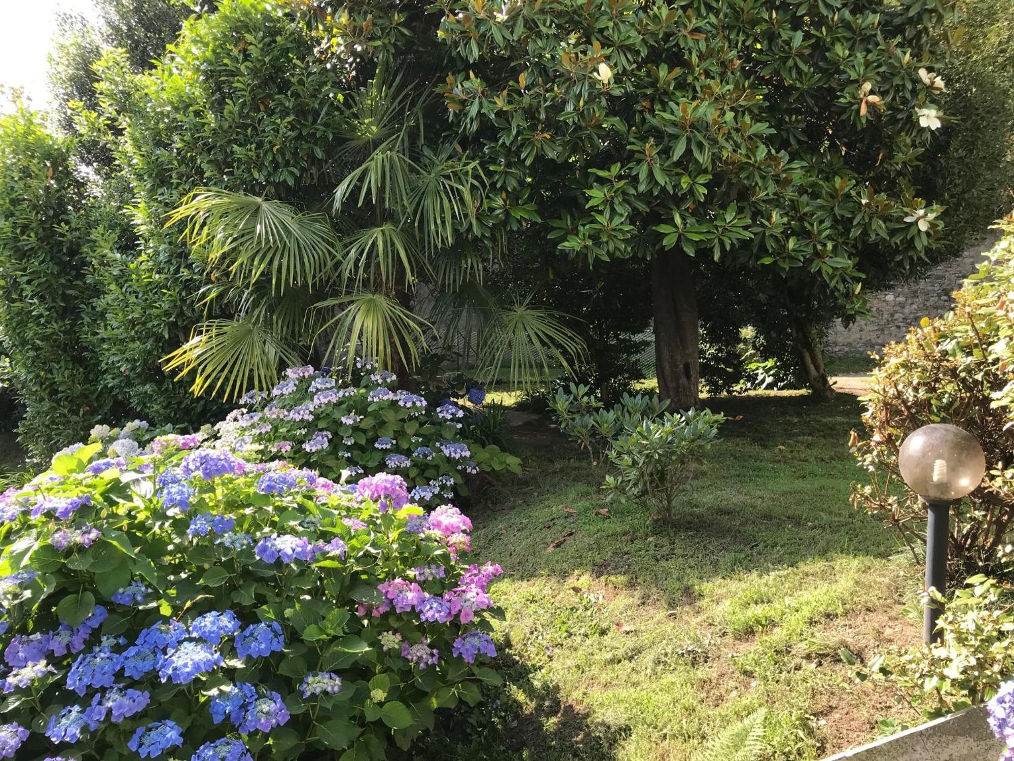 Appartamento La Camelia Ameno Exterior photo