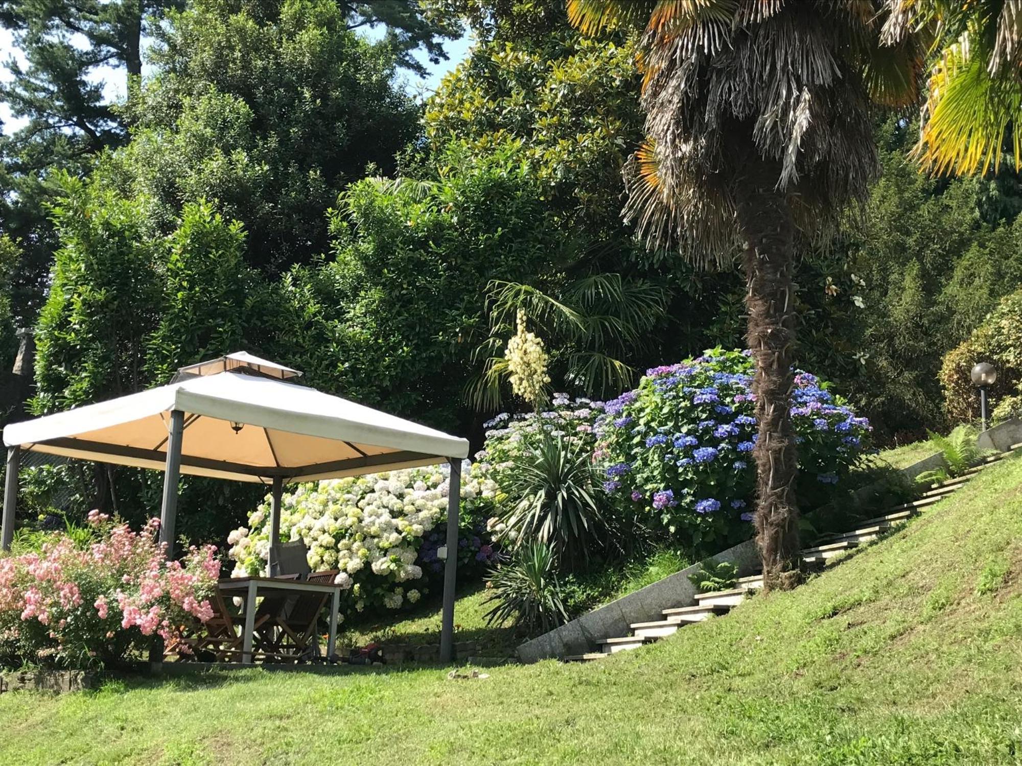 Appartamento La Camelia Ameno Exterior photo